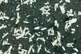 Free-Standing Polished Chinese Writing Rock - Australia #353690-2